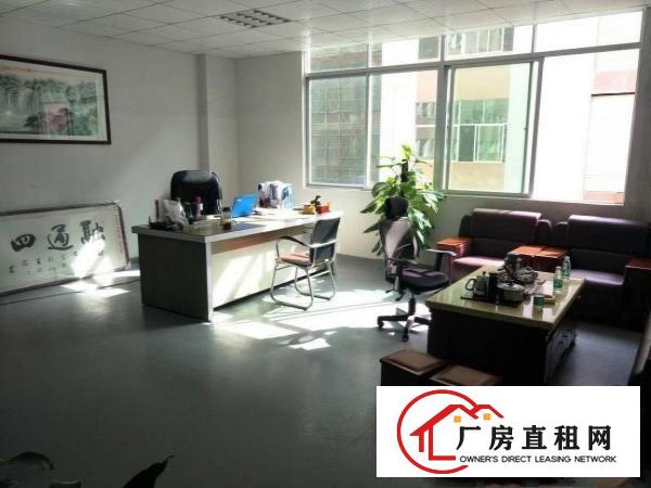 
凤岗金凤凰全新厂房出租，1800平方，豪华装修！