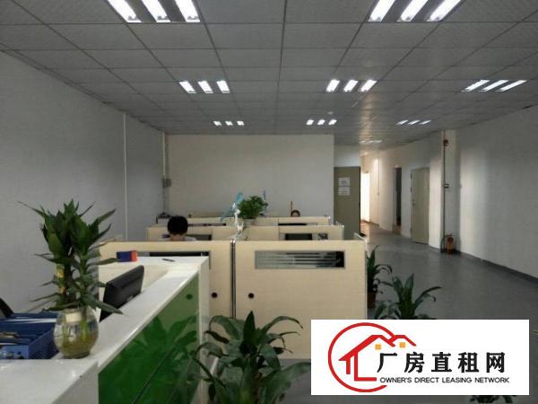 
凤岗金凤凰全新厂房出租，1800平方，豪华装修！