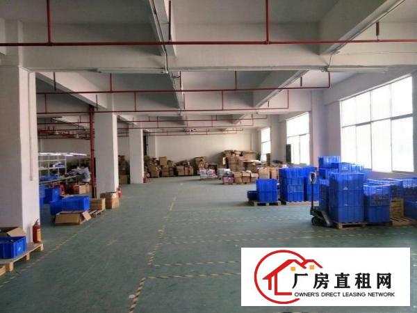 
凤岗金凤凰全新厂房出租，1800平方，豪华装修！