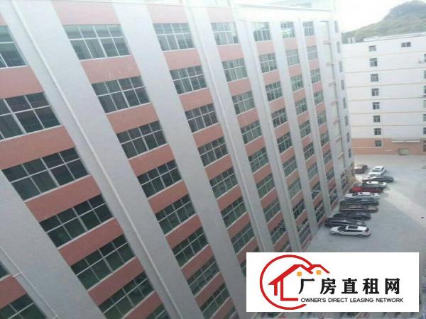 
凤岗金凤凰全新厂房出租，1800平方，豪华装修！