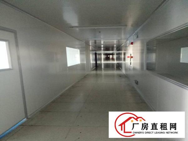 
五联碧湖工业区新出万级无尘车间5200平米大小分租