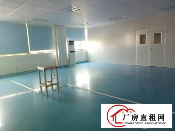 
五联碧湖工业区新出万级无尘车间5200平米大小分租