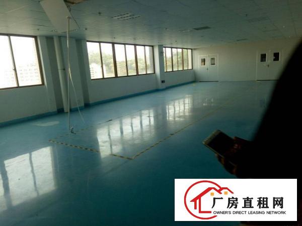 
五联碧湖工业区新出万级无尘车间5200平米大小分租