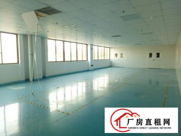 
五联碧湖工业区新出万级无尘车间5200平米大小分租
