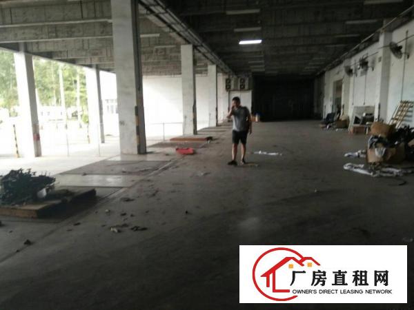 
东莞市凤岗镇物流园区80000平米招租