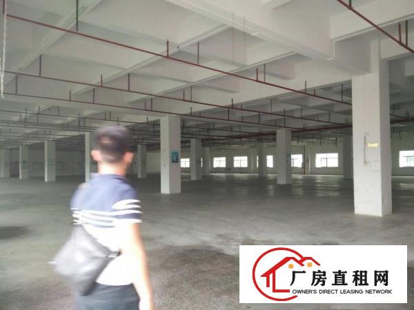 
凤岗镇原业主全新高端花园式科技园60000平米出租