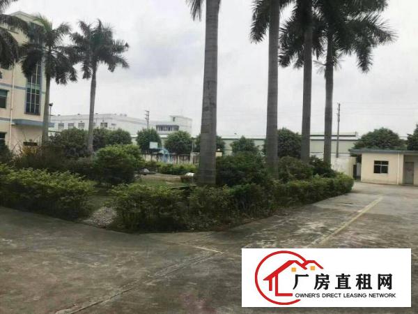 
凤岗镇新出原业主花园式厂房三层6000平米出租