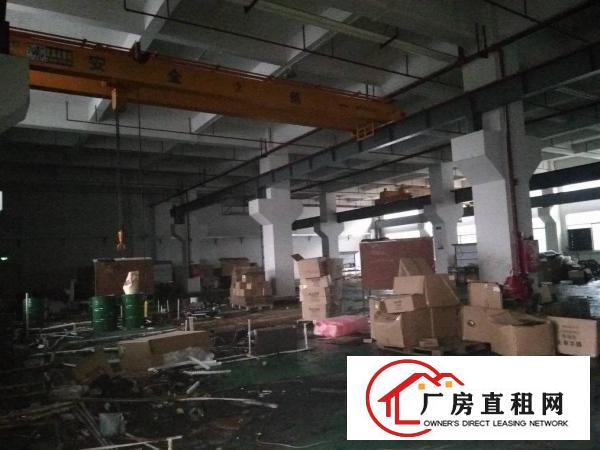 
凤岗镇九成新花园式独院厂房10000平米出租