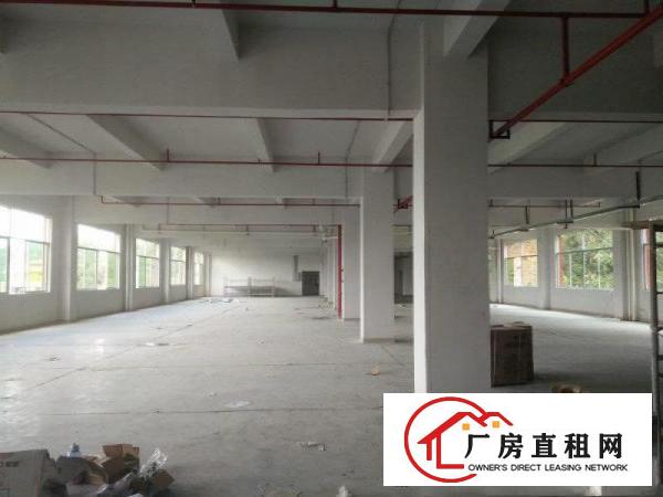 
东莞市凤岗镇油甘埔新建成大型厂房出租