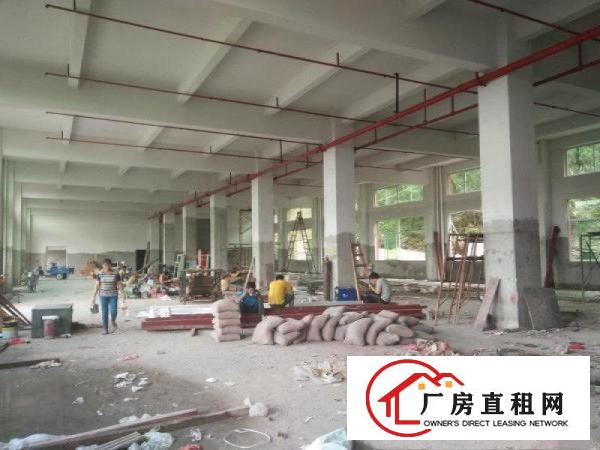 
东莞市凤岗镇油甘埔新建成大型厂房出租