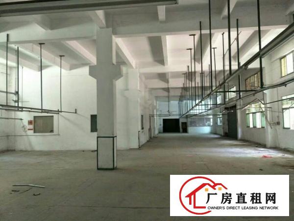
凤岗超靓独院4600平米出租