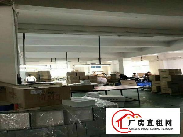 
凤岗金凤凰三楼1400带装修招租