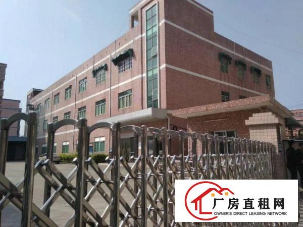 
凤岗金凤凰三楼1400带装修招租