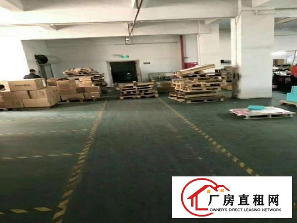 
凤岗金凤凰三楼1400带装修招租