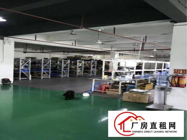 
凤岗雁田新出1000平方精装修厂房三楼