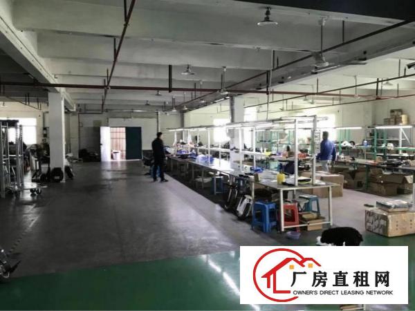 
凤岗雁田新出1000平方精装修厂房三楼