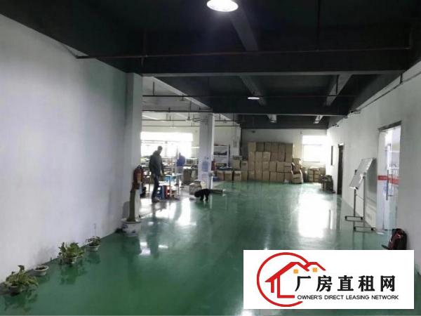 
凤岗雁田新出1000平方精装修厂房三楼