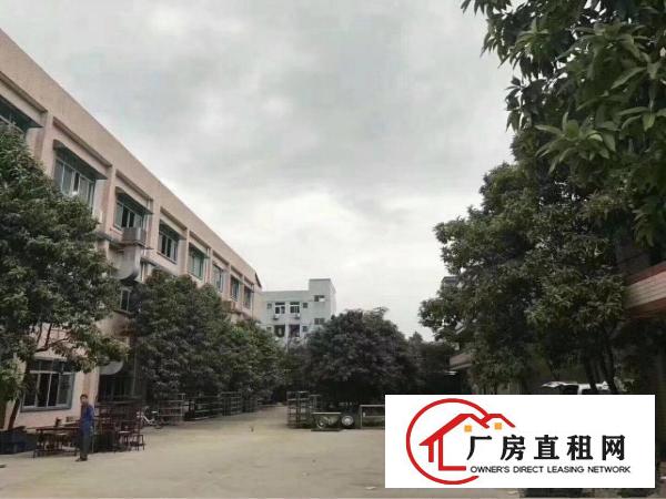 
雁田工业园内精装修楼上厂房转租