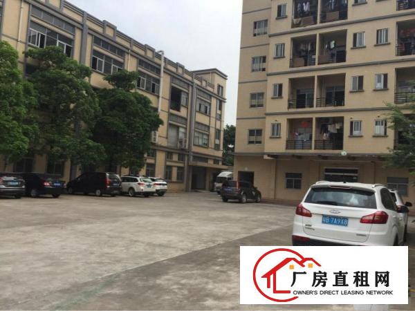 
代理凤岗一手房东超靓独院出租