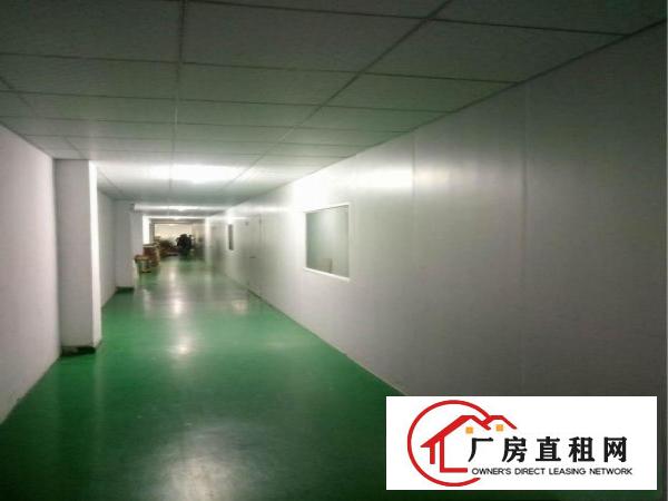 
凤岗金凤凰新出无尘车间1100平方二楼