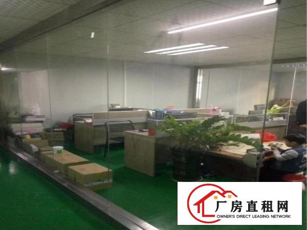 
凤岗金凤凰新出无尘车间1100平方二楼
