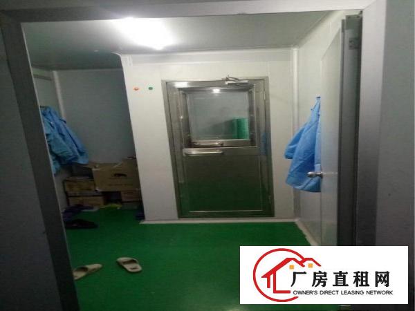 
凤岗金凤凰新出无尘车间1100平方二楼