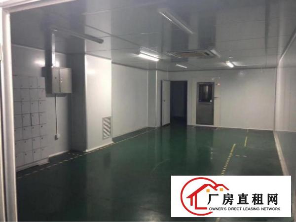 
雁田新出带装修无尘车间1800平方米二楼