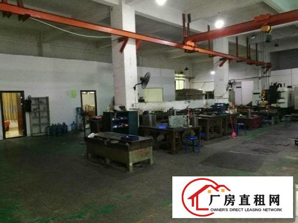 
凤岗雁田成熟工业园新出一二楼厂房可分租
