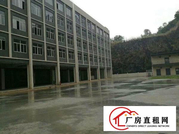 
凤岗原房东独门独院全新红本厂房出租