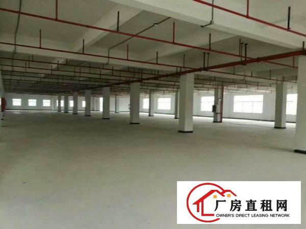 
凤岗原房东独门独院全新红本厂房出租