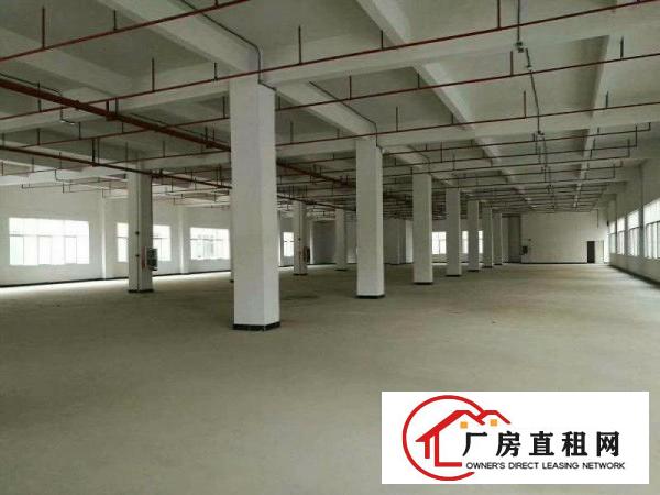 
凤岗原房东独门独院全新红本厂房出租