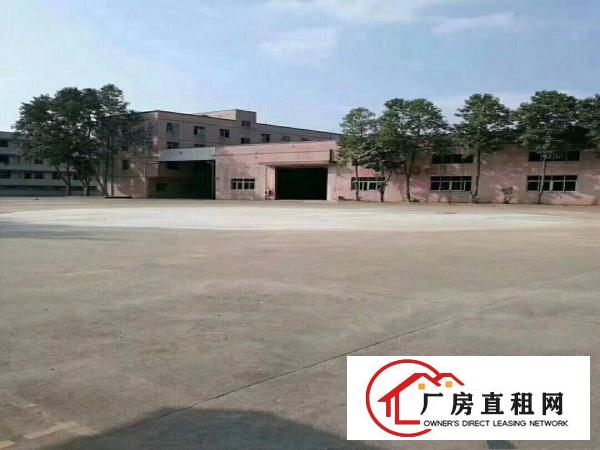 
凤岗镇超靓钢构独院厂房14300平方米招租，可分租