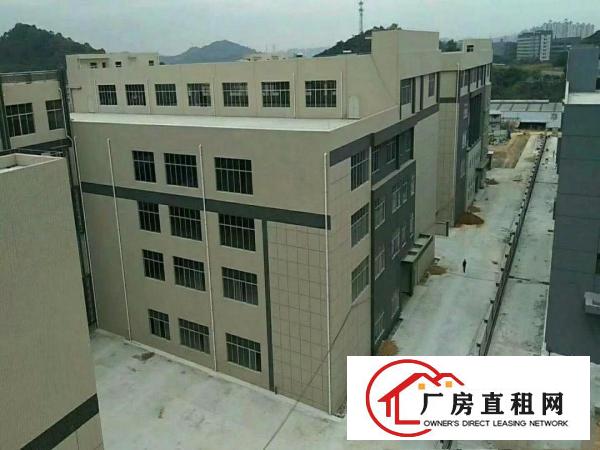 
凤岗6米高全新一楼厂房2400平方可分租
