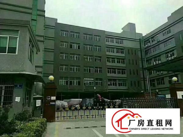 
凤岗6米高全新一楼厂房2400平方可分租