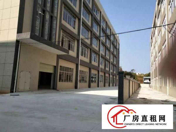 
凤岗全新工业园厂房3栋厂房可3个独院按需分租