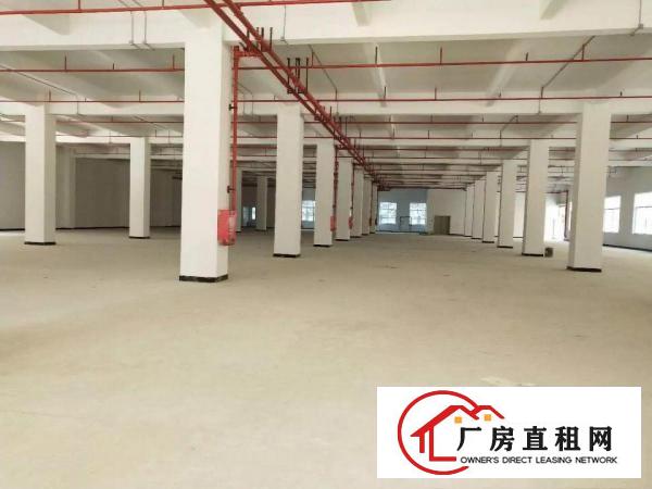 
凤岗全新工业园厂房3栋厂房可3个独院按需分租