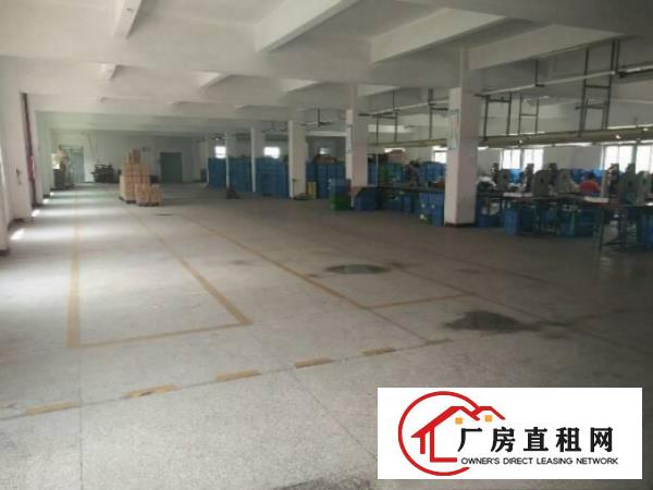 
人气旺）易招工）凤岗新出3000平方米独院厂房出租