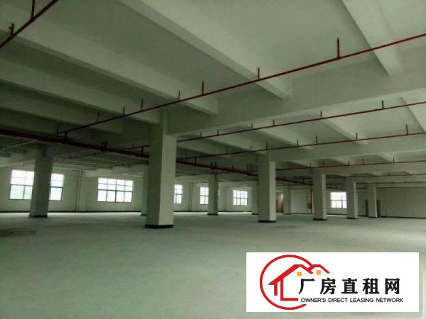 
工业园厂房可分租）凤岗1000平方米全新厂房出租