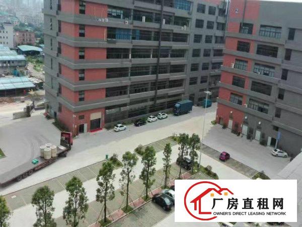 
工业园厂房可分租）凤岗1000平方米全新厂房出租