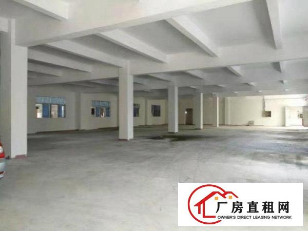 
凤岗村委新建6000平米全新独院厂房出租