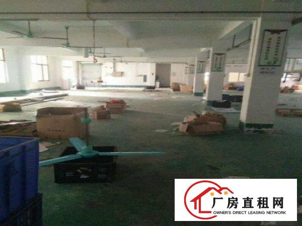 
凤岗金凤凰原房东4000平方米独院厂房出租