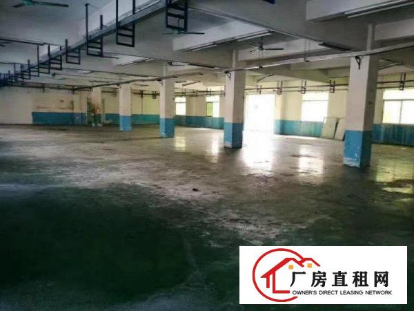 
凤岗汽车站2500平方米独院厂房出租