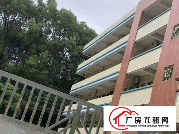 
凤岗碧湖（独门独院）6000平米招租。