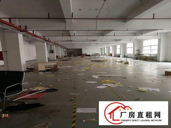 
（凤岗金凤凰）三楼2500平米带装修招租。