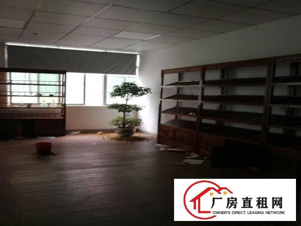 
（凤岗金凤凰）三楼2500平米带装修招租。