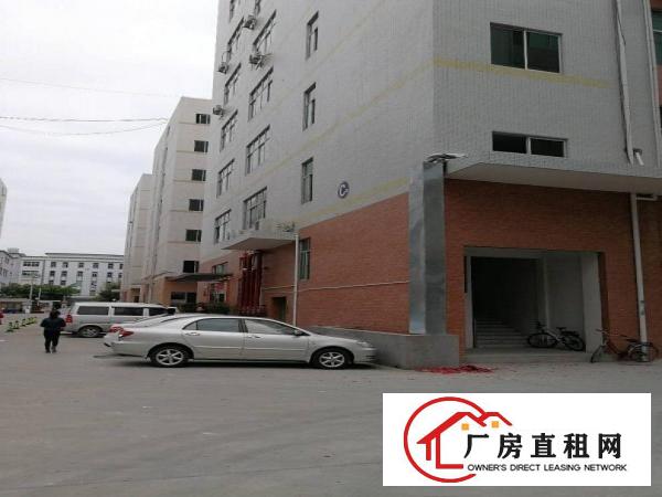 
（凤岗金凤凰）三楼2500平米带装修招租。