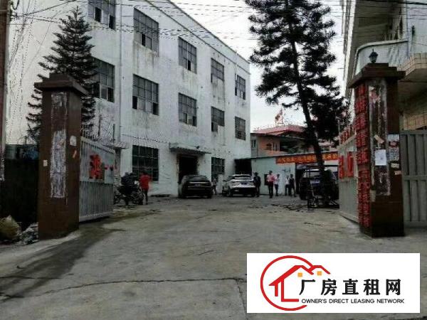 
凤岗油甘埔（小独院3层2800平米）急租