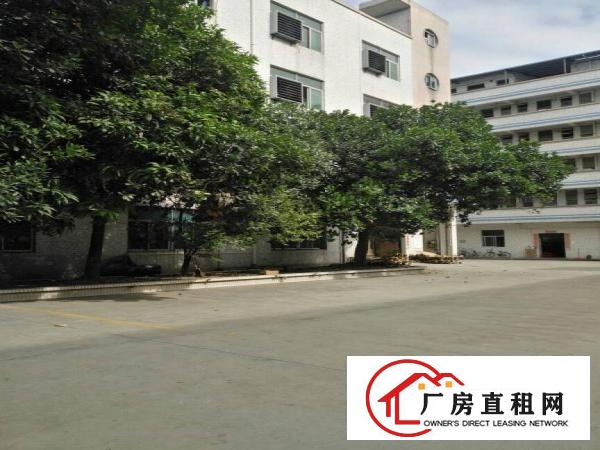 
雁田怡安工业区三楼800平米出租急急急