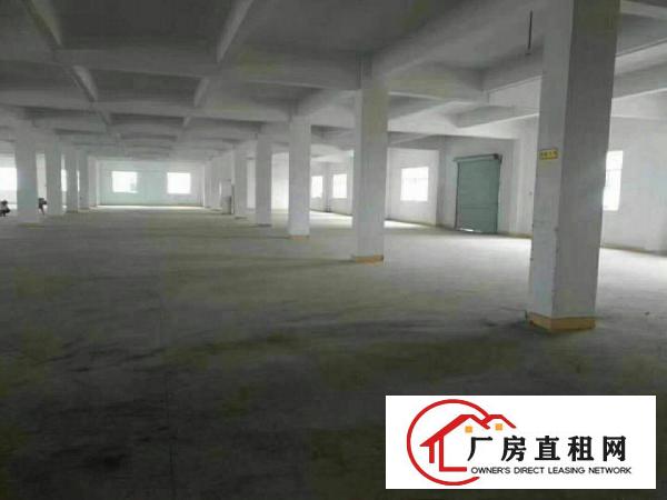 
凤岗花园式独院6000平米出租可分租急急急