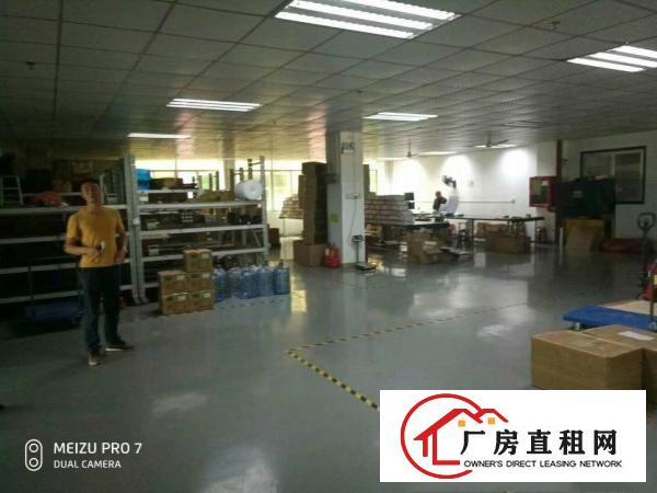 
凤岗花园式独院6000平米出租可分租急急急
